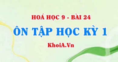 Ôn tập học kỳ 1 Hoá học 9: Tính chất hoá học của các hợp chất vô cơ và kim loại - Hoá 9 bài 24